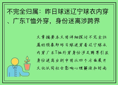 不完全归属：昨日球迷辽宁球衣内穿、广东T恤外穿，身份迷离涉跨界